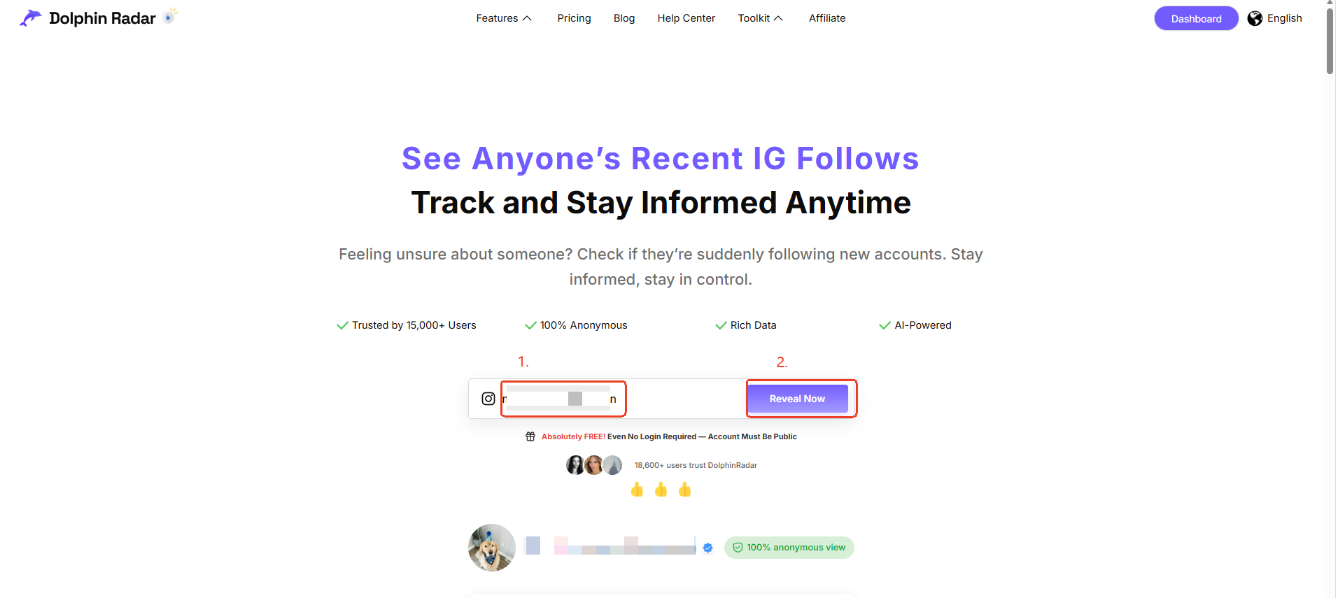 Recent mutual followers tool with the public Instagram username field highlighted.