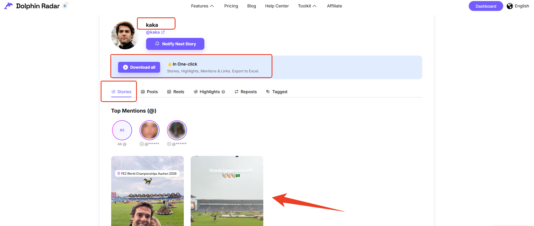 Public Instagram Story results displayed in DolphinRadar viewer