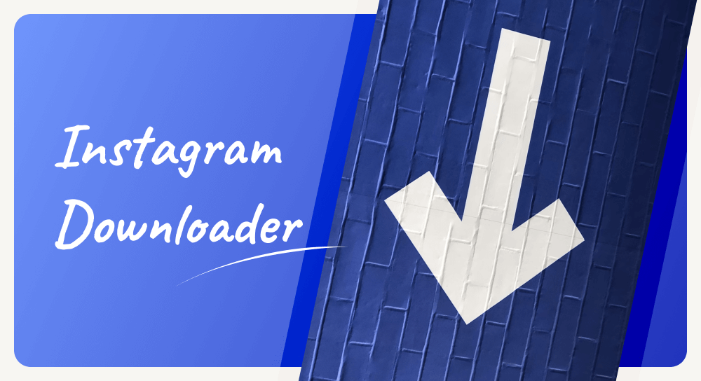  Instagram downloader