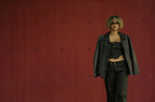 DolphinRadar vs Peekviewer: Which Instagram Viewer Is Safer in 2026