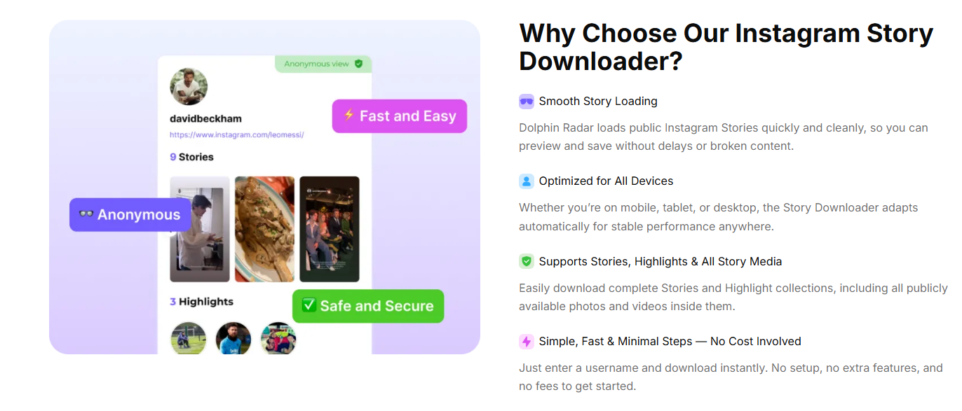 DolphinRadar Instagram Story Downloader interface showing anonymous view, fast loading, and secure story downloads.
