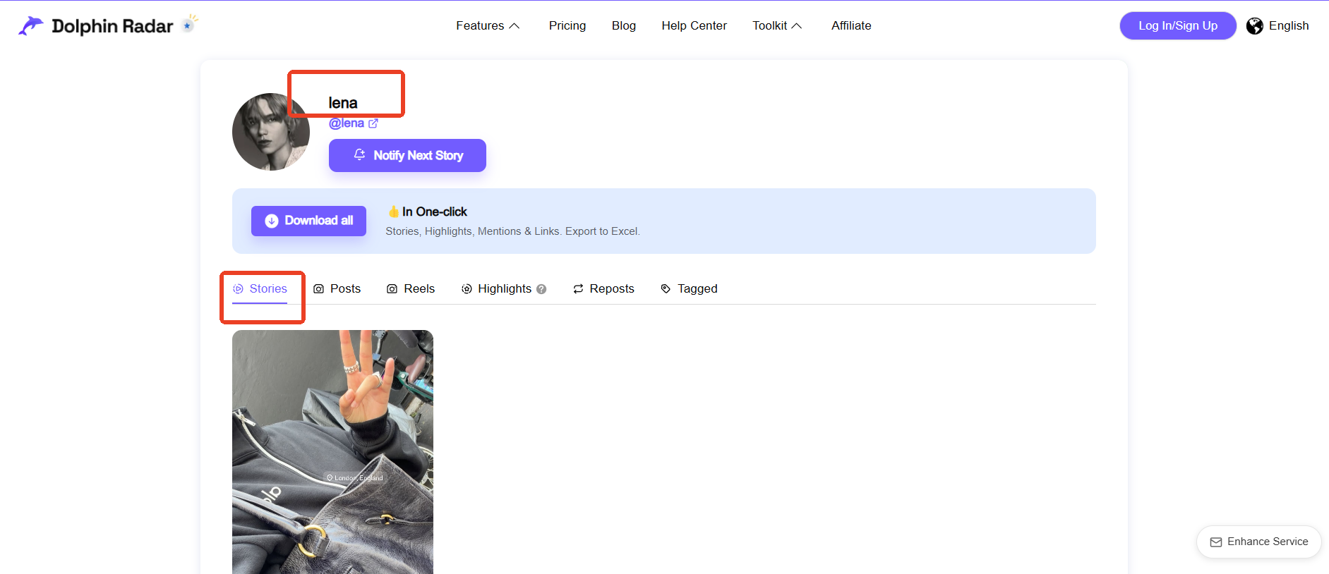 DolphinRadar anonymous Instagram viewer public username search