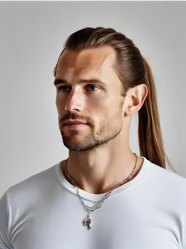 Ponytail hairstyle for male | Hairpaca