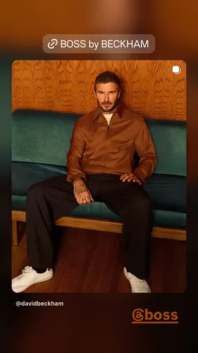 Dolphinradar Image