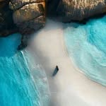 National  videography