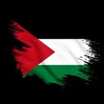 Chico شيكو's profile picture