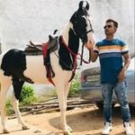 Shaik Asim's profile picture