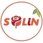 Solin
