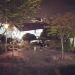 SungHoon & again Roiii