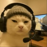 ๐๐ฌ๐๐ฌ ๐๐ข๐ก๐ฏ๐ฌ ๐๐ซ๐ฌ๐ฏ๐ฏ โฐ โ's profile picture
