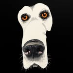 Nicholas Alexander Chavez