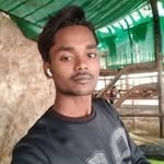 's profile picture