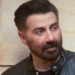 Sunny Deol's profile picture