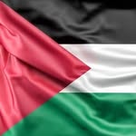 Mohamed Mrad  محمد مراد