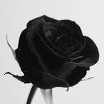 이하준