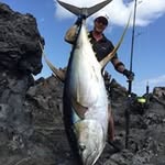 Dennis Verreet's profile picture