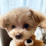 Latte♡'s profile picture