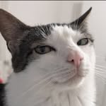 Luna's profile picture