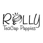 ROLLY TEACUP PUPPIES KOREA 🇰🇷 INC.