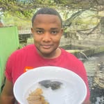 Francisco javier lora