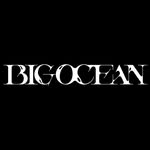 Big Ocean (빅오션)
