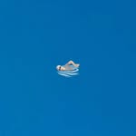 常田大希 - Daiki Tsuneta