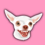 Eviatar & Niki Ozeri😡