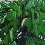 예담 고민시