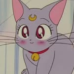 ๐ด๐ช๐ฝ๐ช๐ป๐ฒ๐ท๐ช โฝ's profile picture