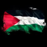 Mohamed Sallam - محمد سلام