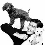 Gregg Sulkin's profile picture