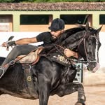 Haras Thullio Milionรกrio ๐ค 's profile picture