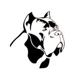 Cane Corso Guard 🖤