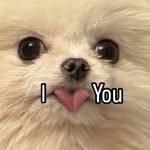 Perreza Patricia Termopolis Renaldi Princesa de Genovia Haze