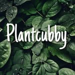 Plantcubby | Plant Decor  | Interior Design