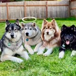 𝕋𝕙𝕖 𝕃𝕚𝕗𝕖 𝕆𝕗 𝕋𝕚𝕜𝕒𝕟𝕟𝕚•𝕂𝕚𝕥𝕒 🌈 𝕋𝕖𝕙𝕪𝕒•𝕂𝕒𝕚𝕥𝕠