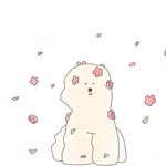Lusi Zhao's profile picture