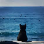 Film rachanun.🎞 (ฟิล์มรชา)