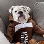 Eggnog and Igloo ❄️