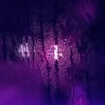 홍수주